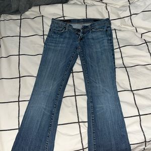 Citizens of Humanity Low Rise Wide Leg Jeans